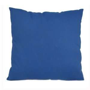  24 Solid Sky Blue Indoor / Outdoor Floor Pillow: Home 