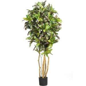  Silk Croton Tree in Green Height: 60 Home & Kitchen