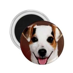 Jack Russell Puppy Dog 6 2.25in Magnet R0704: Everything 