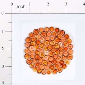  Circle Bead and Sequin Applique Arts, Crafts & Sewing