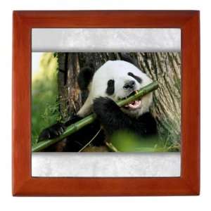  Keepsake Box Mahogany Panda Bear Eating: Everything Else