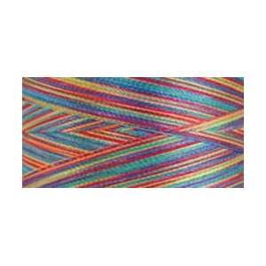  Superior Threads Rainbows Thread 500 Yards Tapestry; 5 