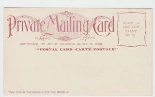 Thomasville GA Live Oak Tree No 311 Livingston Private Mailing Card 