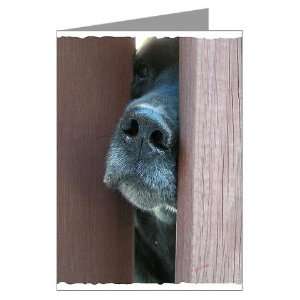  The Nose Knows Pets Greeting Cards Pk of 10 by  