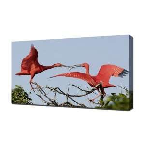  Flamingos   Canvas Art   Framed Size 40x60   Ready To 
