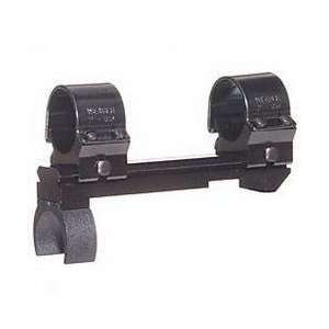   : Ruger .22 Auto Pistol Mount System, Blued Satin: Sports & Outdoors