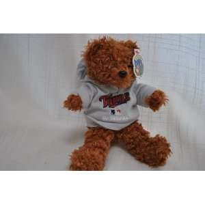   MINNESOTA TWINS OFFICIAL LOGO 8IN HOODIE TEDDY BEAR: Everything Else