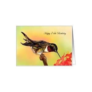   74 Years Old Hummingbird and Flowers Birthday Cards Card Toys & Games