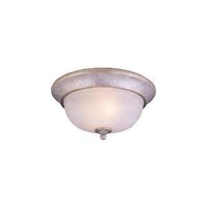  Bradenton Ceiling Light: Home Improvement