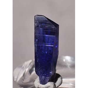  Tanzanite Natural Gem Crystal   Tanzania