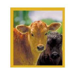 Magnetic Bookmark Two Calves (Brown & Black), Beautiful and Colorful 