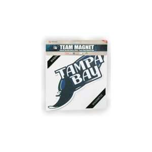  Tampa Bay Devil Rays Magnet: Sports & Outdoors