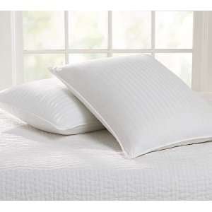    Pottery Barn Classic Goose Down & Micromax Pillow: Home & Kitchen