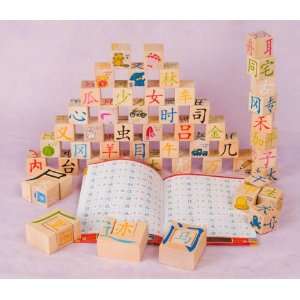  Chinese Character Building Blocks: Toys & Games