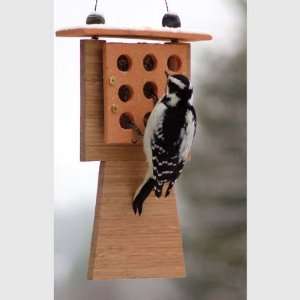  Natural Stoneware Suet Feeder With Bamboo Tail Prop: Patio 