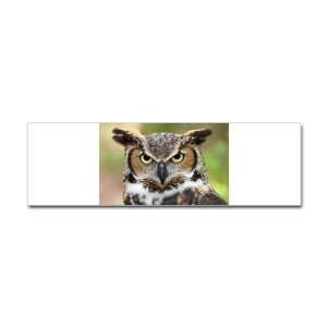  Bumper Sticker Great Horned Owl 