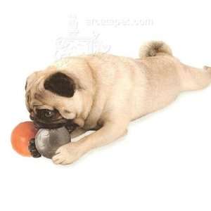  Planet Dog Orbee Tuff Diamond Ball Assorted: Pet Supplies