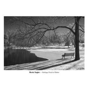  Heritage Pond In Winter Finest LAMINATED Print Monte 