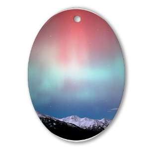   Ornament Oval Photography Oval Ornament by CafePress: Home & Kitchen