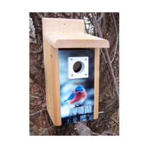  Mad Bluebird Bluebird House   1/2 Cedar, 1/2 Outdoor PVC w 