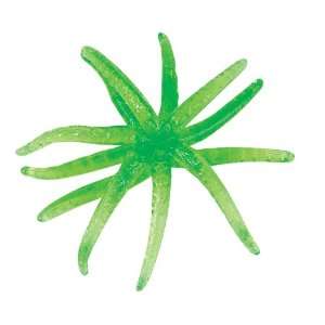  Sticky Starfish (1 dz): Toys & Games