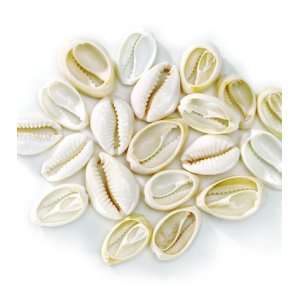    Darice(R) Cowrie Shell Beads   25PK/Ivory: Arts, Crafts & Sewing