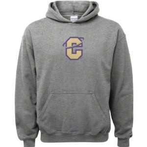 Carroll College Fighting Saints Sport Grey Varsity Washed Youth Logo 