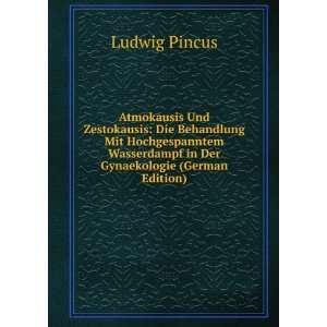   Wasserdampf in Der Gynaekologie (German Edition) Ludwig Pincus Books