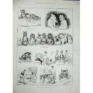  1887 Cat Show Crystal Palace Pets Animals Kittens Print 