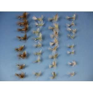  The Trout Spot CDC Dry Fly Assortment
