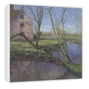  Sprouting Willow Tree by Timothy Easton   Canvas   Medium 