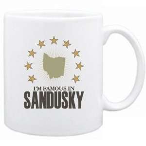  New  I Am Famous In Sandusky  Ohio Mug Usa City