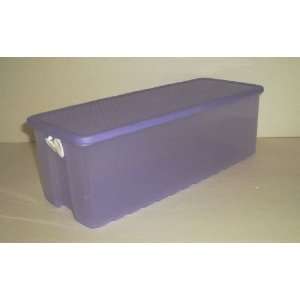   Storage, 19 3/4 cup capacity (lilac purple container & seal