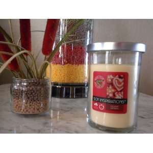  Beanpod Candle Holiday Cookies Scent 10.5 Oz
