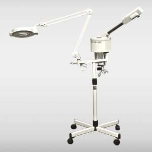   Salon 2 in 1 Ozone Facial Steamer with Magnify Lamp Spa Salon: Beauty