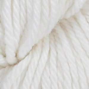   ™ Chunky Yarn (6100) Snow Day By The Skein Arts, Crafts & Sewing