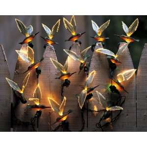   Hummingbird Lights by Collections Etc: Patio, Lawn & Garden