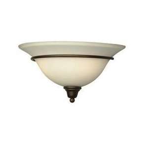    34 Dolan Designs Willow Point Collection lighting: Home Improvement