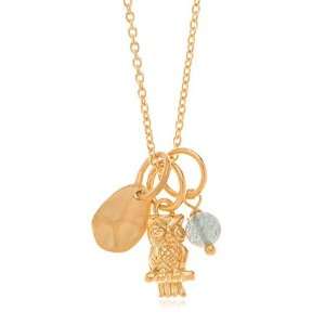  Wisdom Owl Necklace in 24K Gold Vermeil Jewelry
