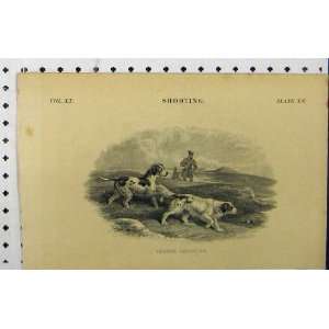   C1850 Grouse Shooting Man Gun Dogs Country Scene Print: Home & Kitchen