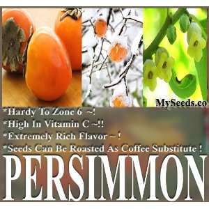 Persimmon Fruit TREE Diospyros virginiana TREE SEEDS ~ Cold Hardy Zone 