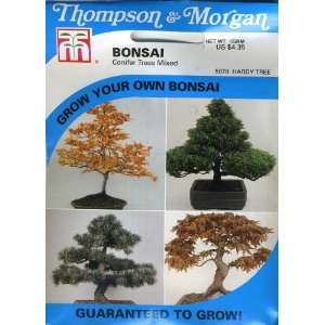   5070 Bonsai Conifers Trees Mixed Seed Packet Patio, Lawn & Garden