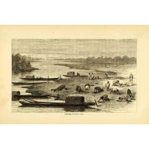  1875 Lithograph Hunting Turtle Eggs  Beach Boat 