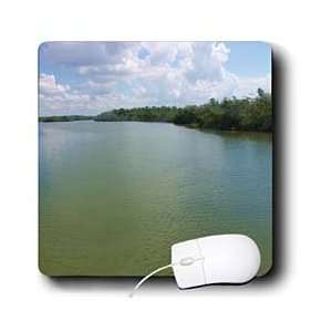   Florene Water Landscape   Sanibel Mangroves   Mouse Pads Electronics