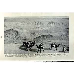  c1920 SAHARA DESERT CAMELS CARAVAN SAND AFRICA