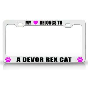  MY HEART BELONGS TO A DEVOR REX Cat Pet Auto License Plate 