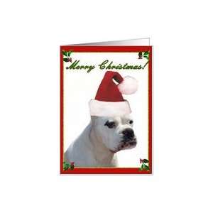  Merry Christmas White Boxer Dog Greeting card Card Health 