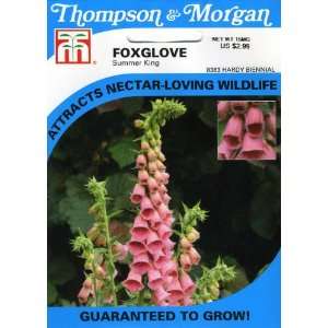  Thompson & Morgan 8383 Foxglove x mertonensis Summer King 