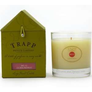  TRAPP No. 12 GUAVA/MANGO LARGE POURED CANDLE: Home 
