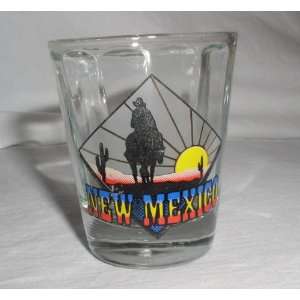  NEW MEXICO BELVELED GLASS LOOK SHOTGLASS